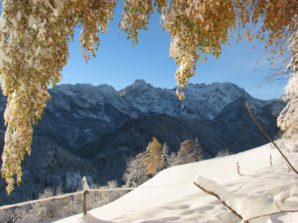 Holiday Chalet "Alpine Dreams" With Private Wellness Solcava Exterior photo